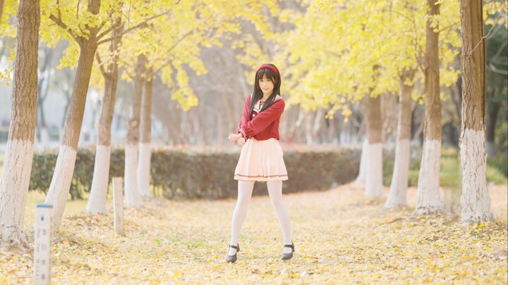 【التسامح】حب سينو