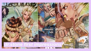 dr.stone manga first impression by an aspiring scientist