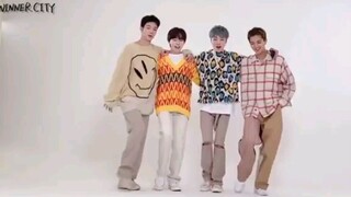 【WINNER】蹦蹦跳跳太可爱啦 又是这蜜汁身高