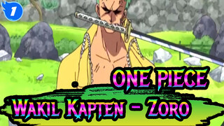 ONE PIECE|【Epic Compilation 】Wakil Kapten - Zoro_1