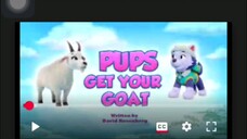 Paw patrol Musim 11 Episode 8A Bahasa indonesia