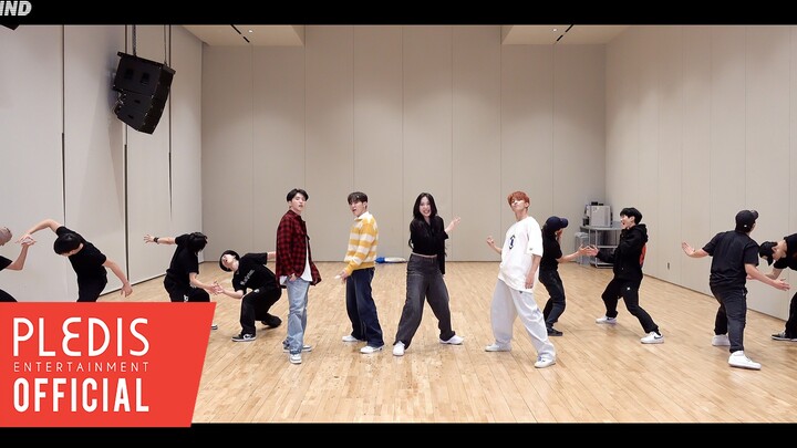 [Choreography Video] BSS (SEVENTEEN) - 'Fighting (Feat. Lee Young Ji)'