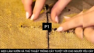 MẸO LÀM VƯỜN VÀ THỦ THUẬT TRỒNG CÂY TUYỆT VỜI CHO NGƯỜI YÊU CÂY #1