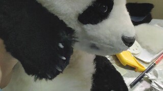熊猫真难做啊