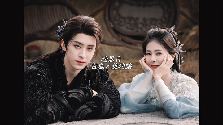 You are my one and only irreplaceable partner (Ruisibai)