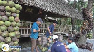 ANH EM KHẨN TRƯƠNG CHUẨN BỊ ĂN MỪNG 200K SUB | Hội Ngộ Miền Tây #494