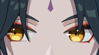 【第四届金翅鹏王杯×胖鸟展】视频区——everyday