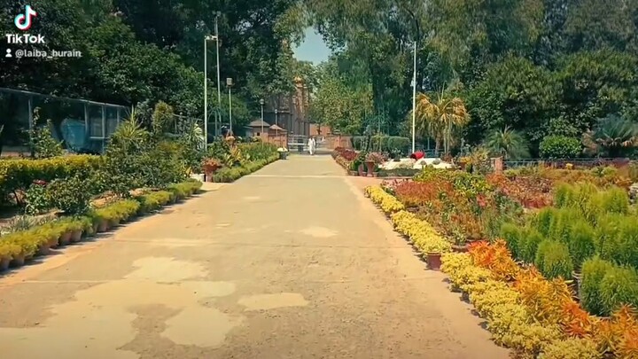 islamia college Peshawar 🇵🇰🇵🇰
