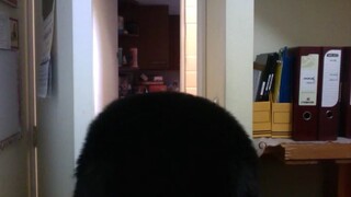 Ro dirá - Schlapeirytockrond