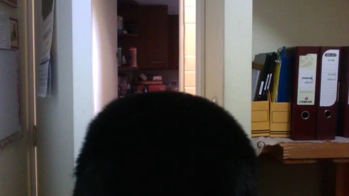 Ro dirá - Schlapeirytockrond