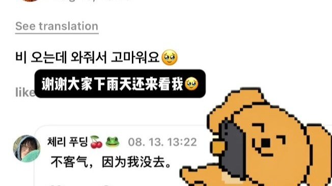 【svt】Lời phản hồi của xmm luôn mang một nét hài hước nhẹ nhàng