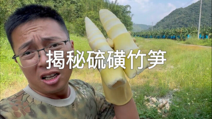 Unveiling sulfur-treated bamboo shoots: the sulfur dioxide content is shocking—can these bamboo shoo