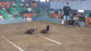 2 Hits Champion 26/06/2025 - Part 2