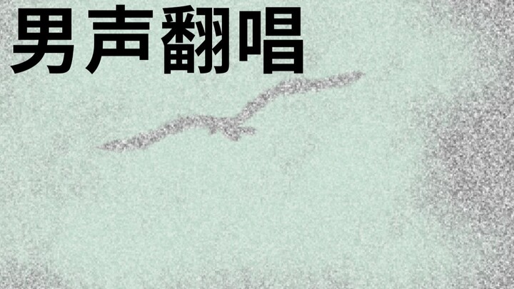 《白鸟过河滩》男声翻唱