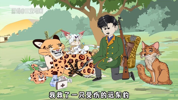 32集：我救了一只远东豹，它为报恩竟送我一支百年野山参