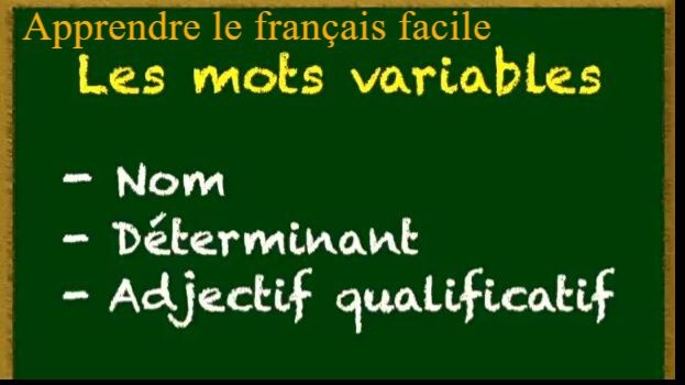 Leçon 01 – Les mots variables | Cours de français