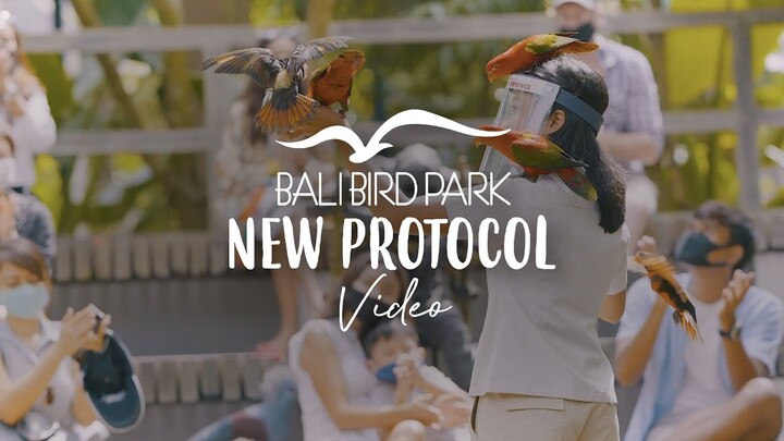 Bali Bird Park | New Protocol Video