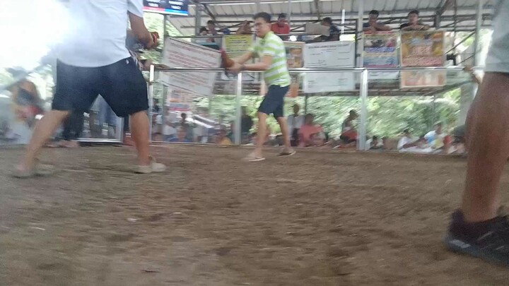 sweater x Roundhead @ Bungoy Dolores Quezon