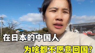 Everyone says Japan isn't great, so why don't Chinese people living in Japan want to return home?
