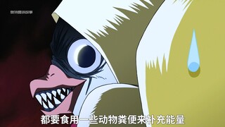 这只企鹅的能力逆天，就是放大招时需付出的代价一般人接受不了