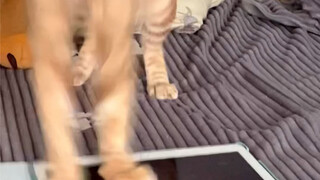 Rasanya sangat imersif