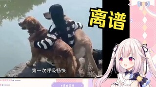 日本萝莉看《直男图鉴》当场绷不住