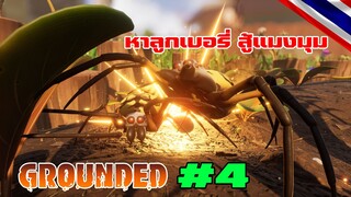 grounded : หาเบอรี่ ทำberry leather เกราะแมงเต่าทอง ฆ่า Wolf spider  #4