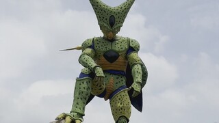 รูปแบบที่หนึ่งปรากฏตัว