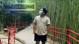 PANAGBENGA 2022 | Tour at Bamboo Eco Park | Baguio Vacation Part 6