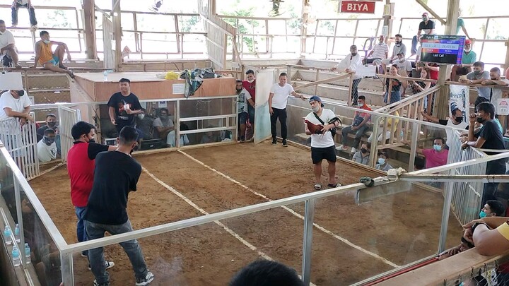 2nd fight win