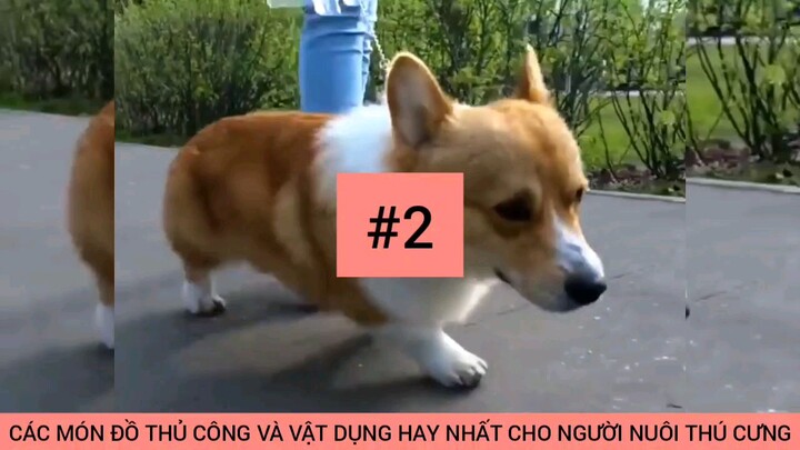 trong một thủ thuật và vận dụng hay nhất #2