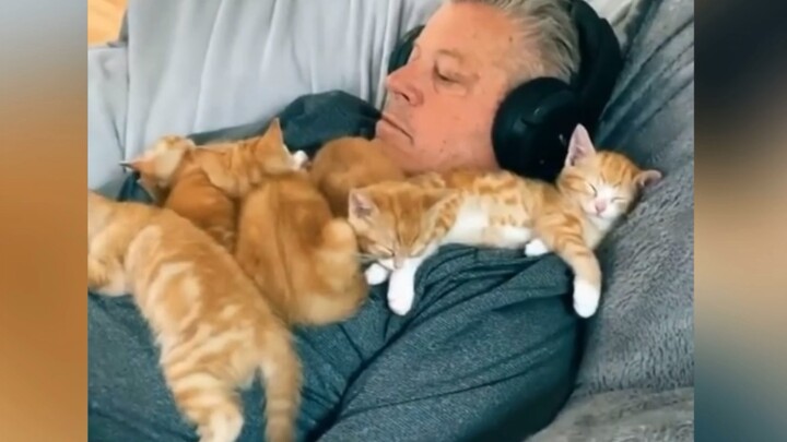 “The Failure of Cat Training”
