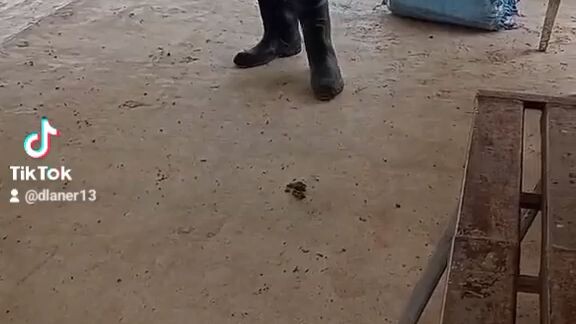 new dance on the floor