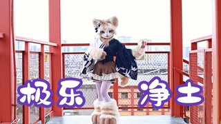 大猫猫也想给小美打call!再跳一次极乐净土！♡ 啵啵美 ~