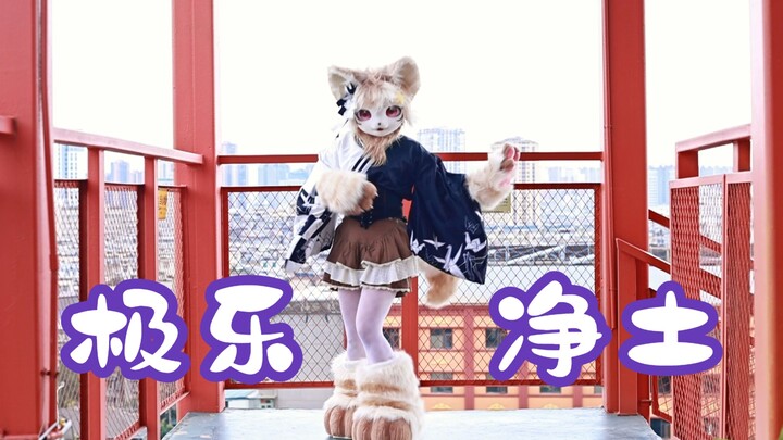 大猫猫也想给小美打call!再跳一次极乐净土！♡ 啵啵美 ~