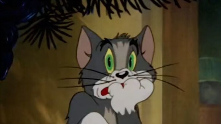 Wait… are Raptors really this ridiculously contrasting when they walk???