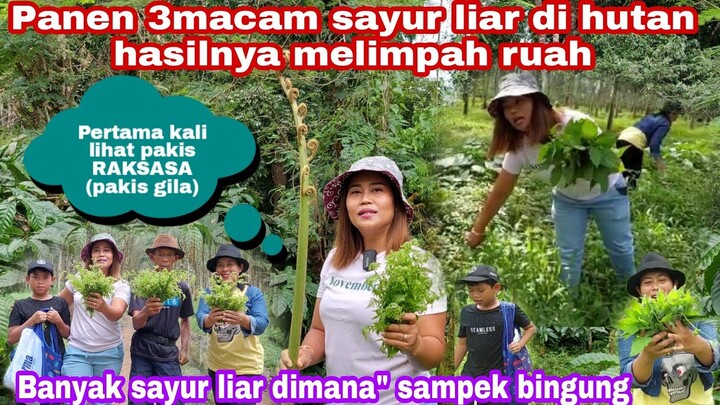 PANEN 3 MACAM SAYUR LANGKA DI HUTAN BARENG PAK APIK DAN TEAM WEDI LUWE || HASILNYA MELIMPAH RUAH