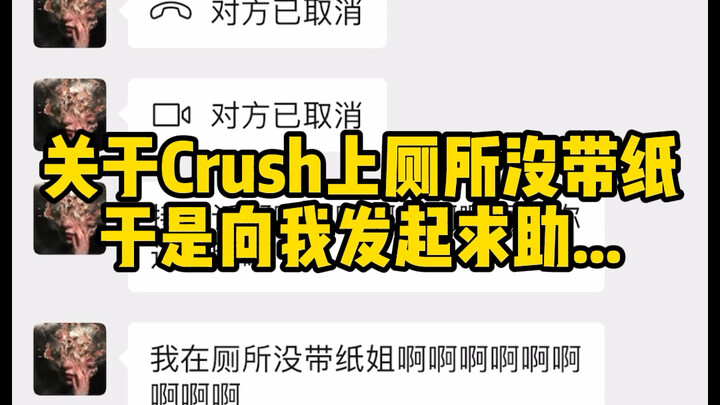 A Black Sheep Falls From the Sky