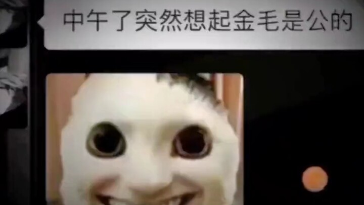 Giật mình tỉnh giấc giữa đêm, sự thật kinh hoàng