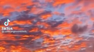 Ai 81 gia lai vào nhận này