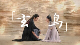 『与凤行×玄鸟』双向奔赴|宿命感拉满|“一生短 一念长”