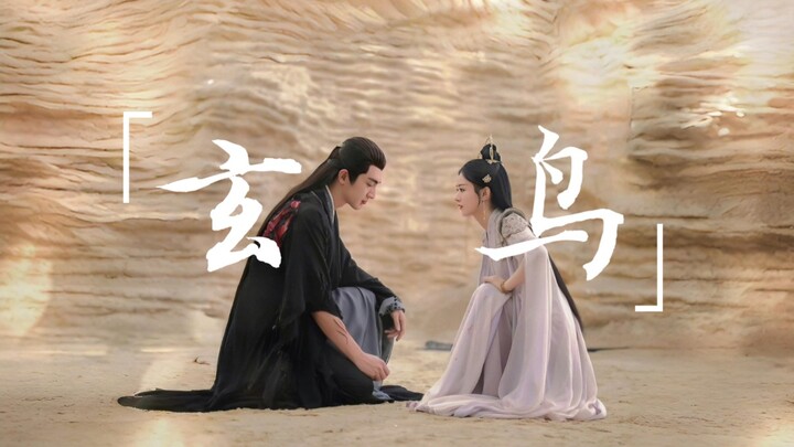 『与凤行×玄鸟』双向奔赴|宿命感拉满|“一生短 一念长”