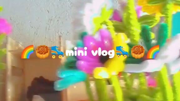mini vlog