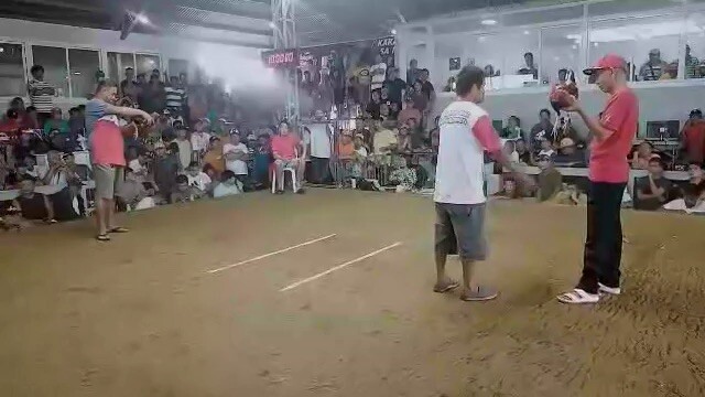 Rhea 209 gf zkap Llanes
