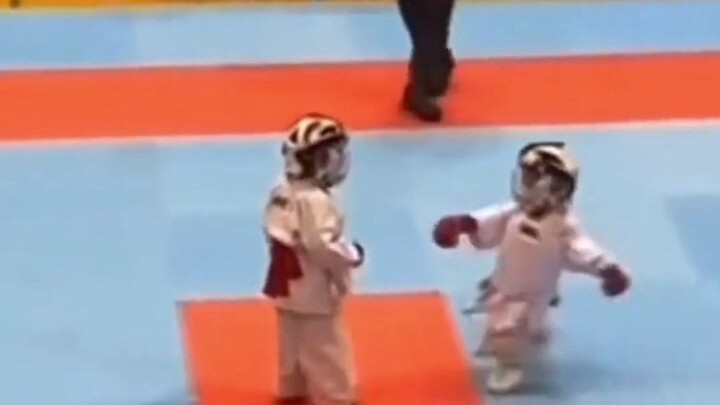 Taekwondo, tôi chỉ xem hạng mục này thôi.
