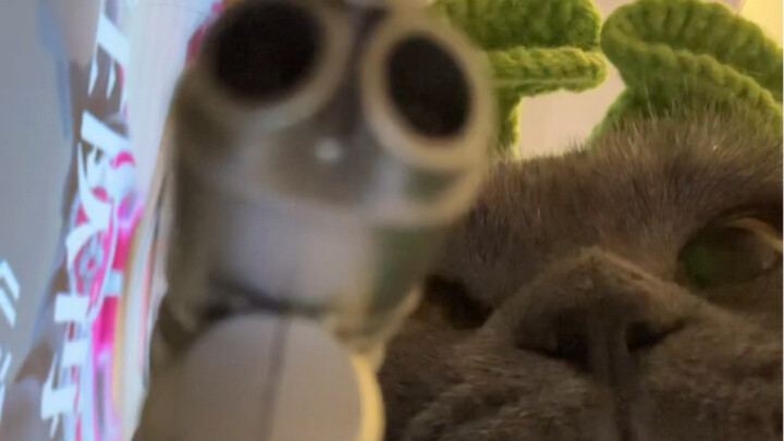 That's right, from now on, you're Little Flower, and I'm "Mudball."