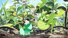 Mitsubachi Hacchi Honey Bee Hutch | Animasi hacchi sebatang kara