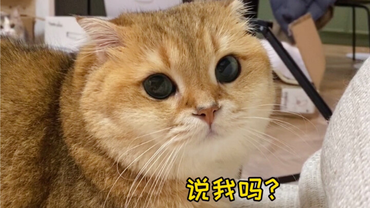 ขึ้นชื่อเรื่องสองมาตรฐาน!!