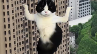 In the end, the official account still ended up in the hands of the post-00s generation, hahaha