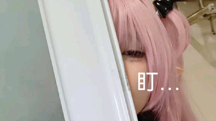 游客Dogdogking日常
